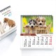 Calendriers de bureau  13 feuilles 10.7x10 cm